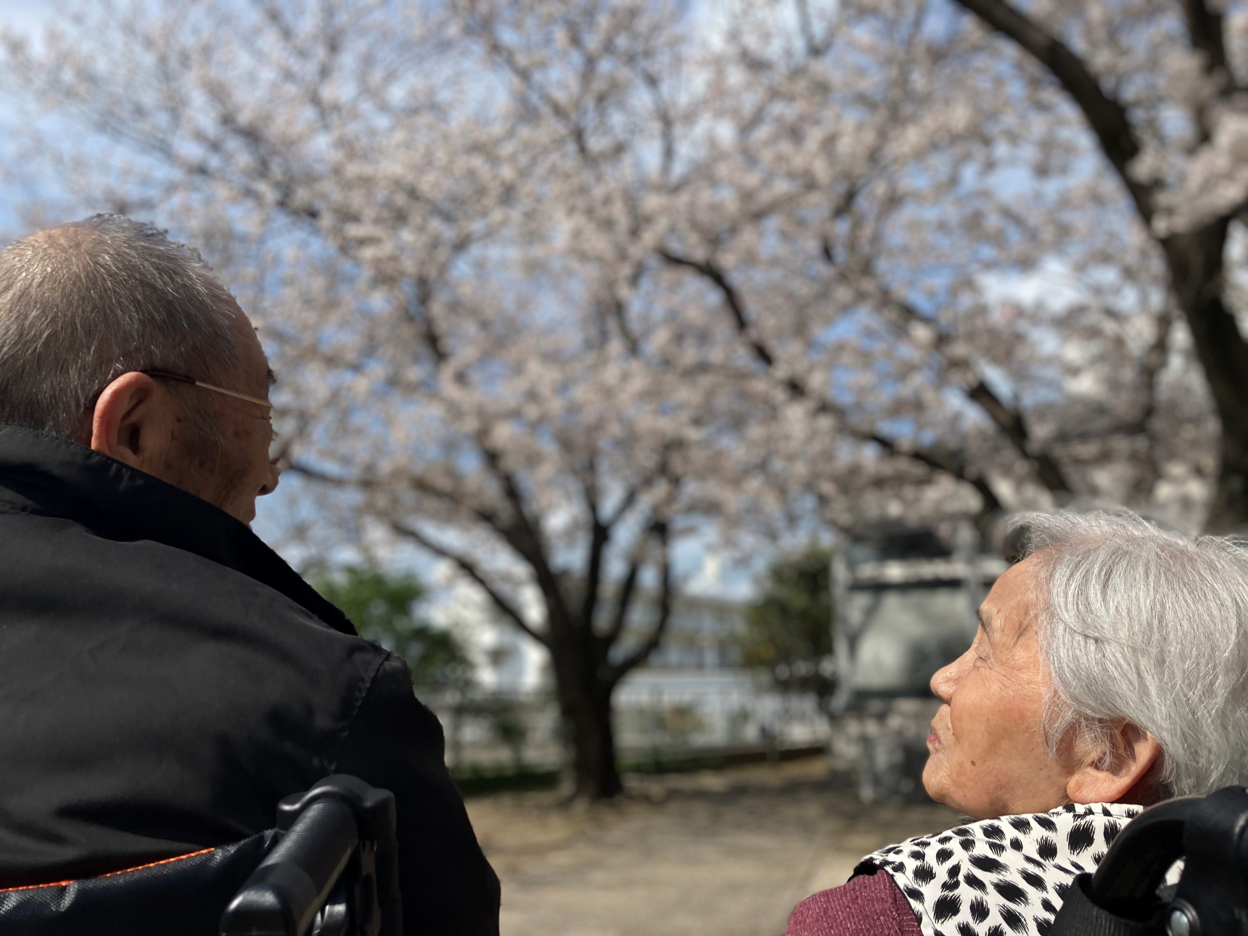 【寿生苑特養】さくら🌸サクラ🌸SAKURA